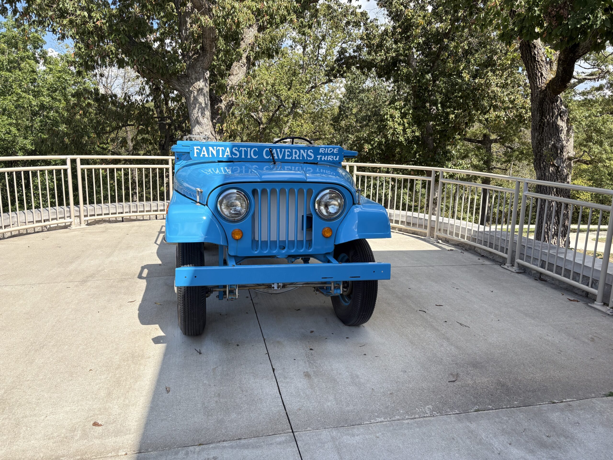 Day 7 – Fantastic!