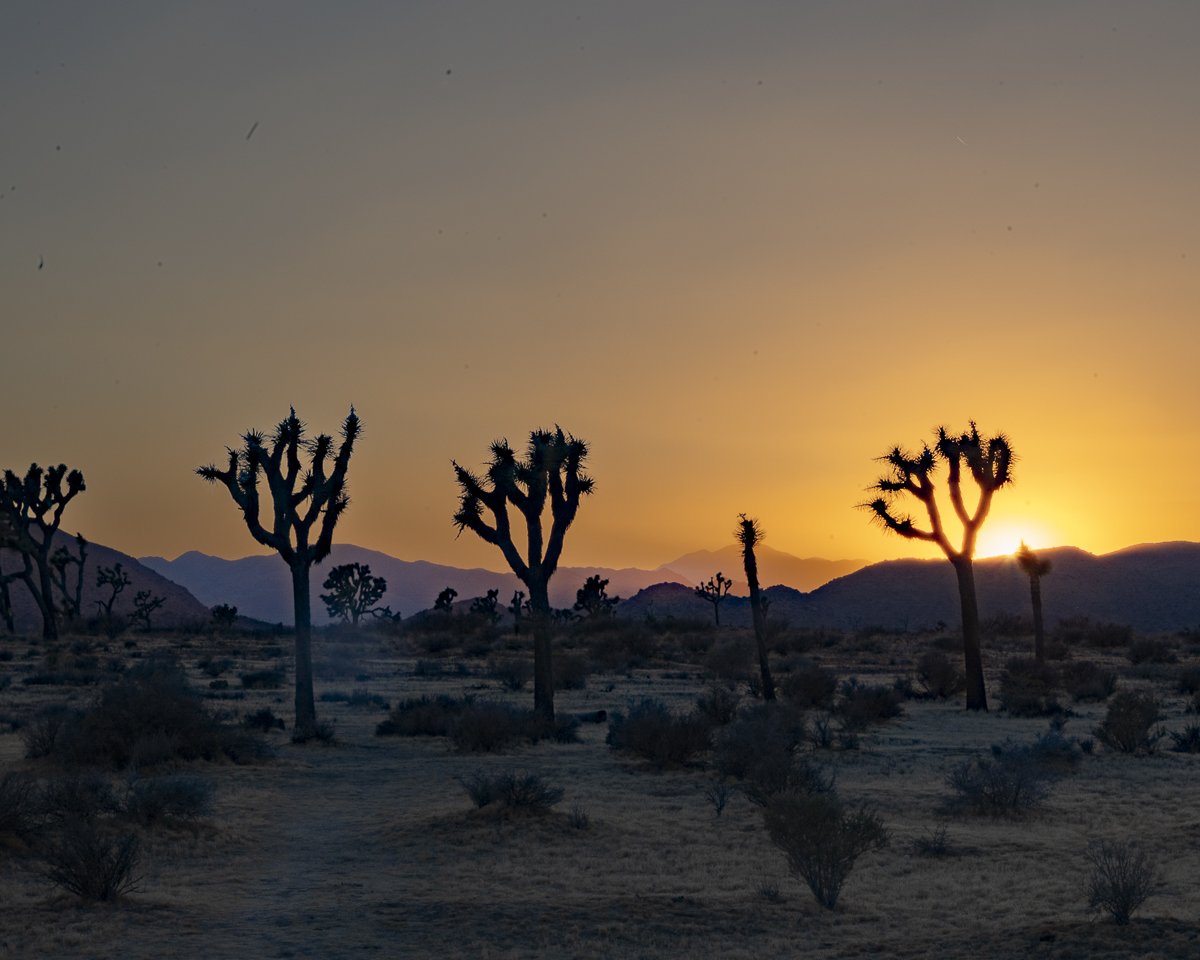 Day 3 – But its a Dry Heat